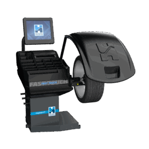 Alternative view of Megapsin FT